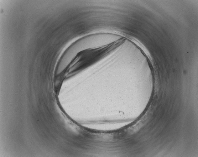 X0000082710996200702232251