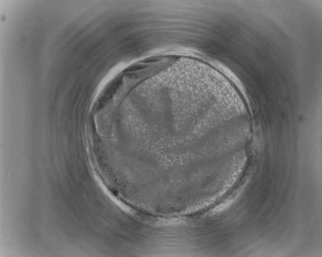 X0000082710997200702232251