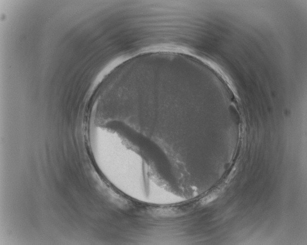 X0000082710998200702232251