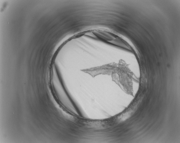 X0000082710999200702232251