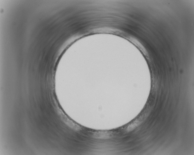 X0000082711000200702232251