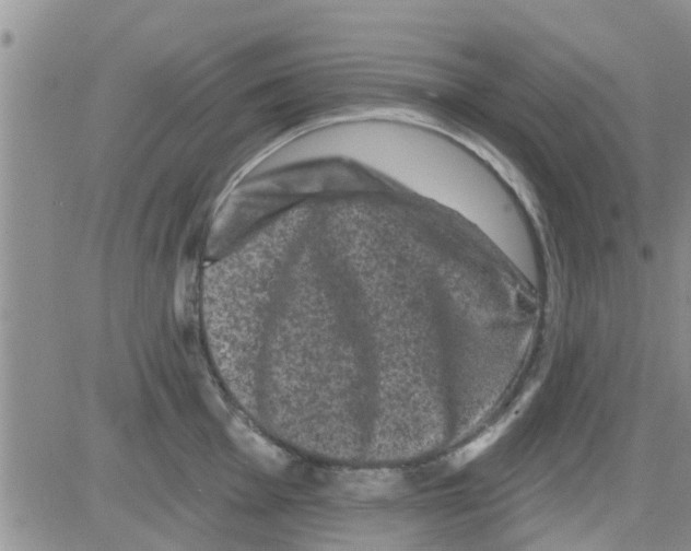 X0000082711001200702232251