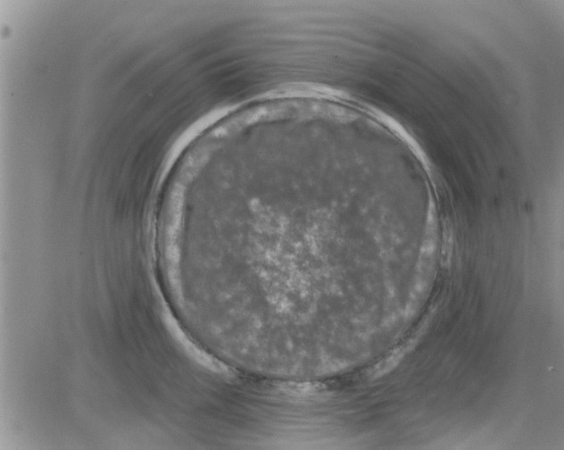 X0000082711003200702232251