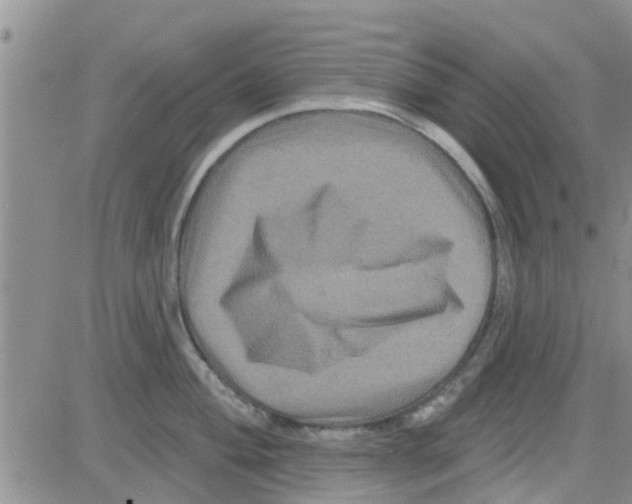 X0000082711004200702232251