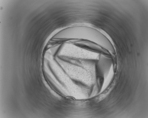 X0000082711005200702232251