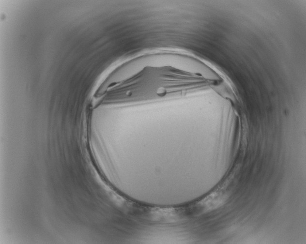 X0000082711006200702232251