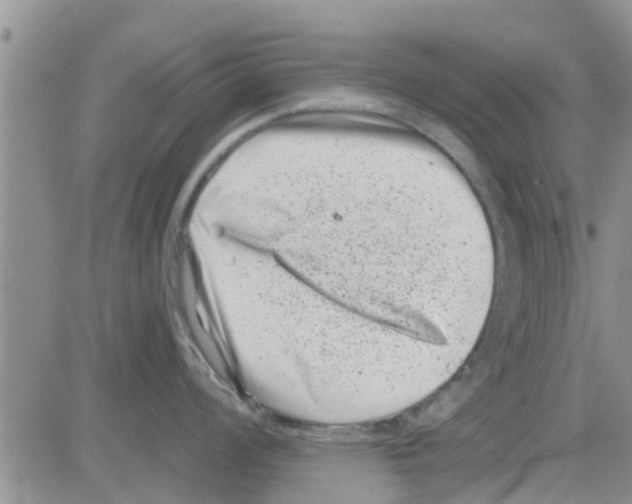 X0000082711008200702232251