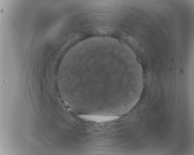 X0000082711009200702232250