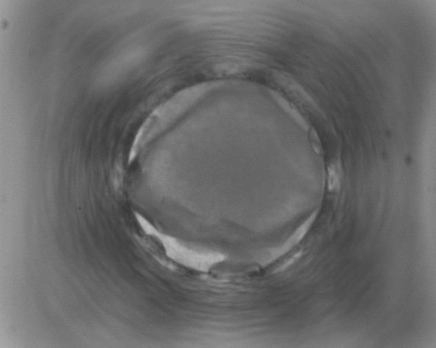 X0000082711011200702232250