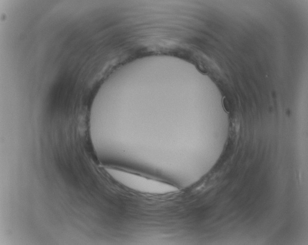 X0000082711012200702232250