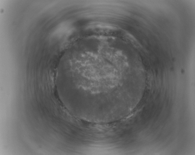 X0000082711013200702232250