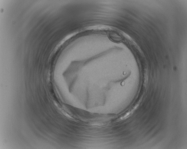 X0000082711017200702232250