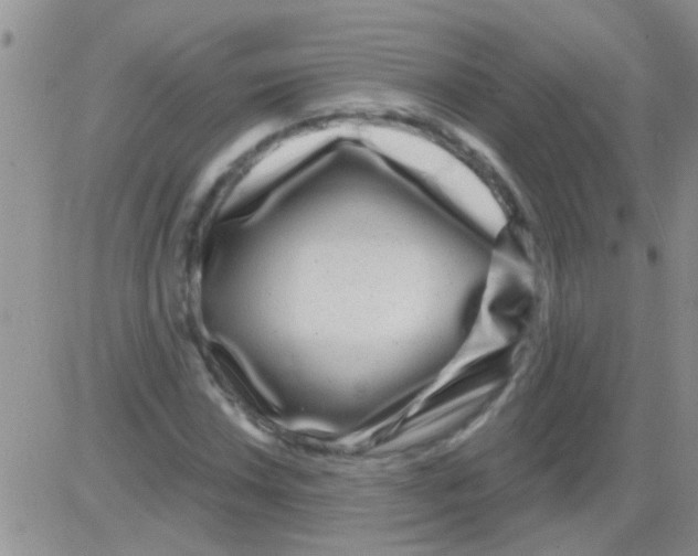 X0000082711018200702232250