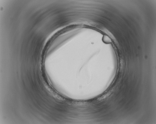 X0000082711020200702232250