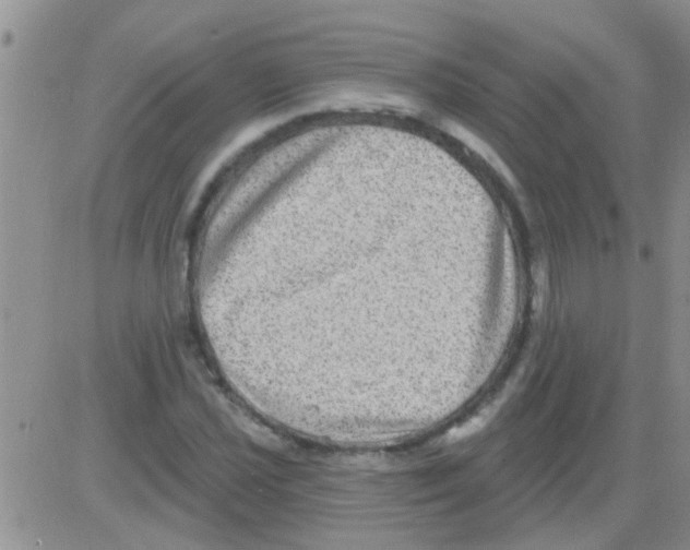 X0000082711021200702232250