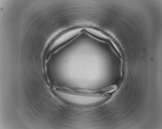 X0000082711022200702232250