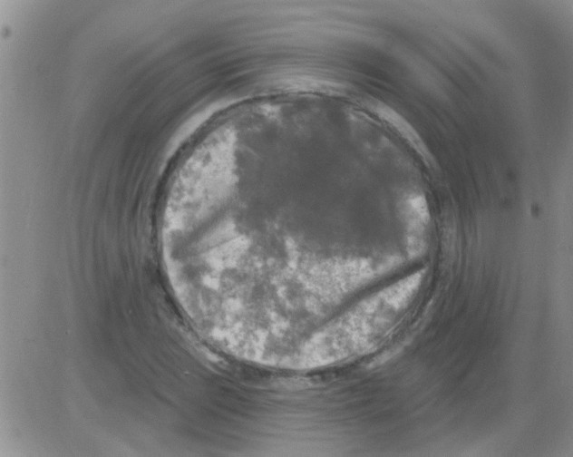 X0000082711023200702232250