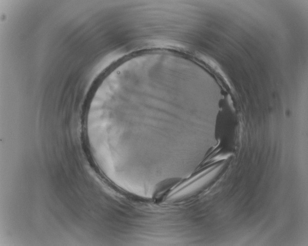 X0000082711024200702232250