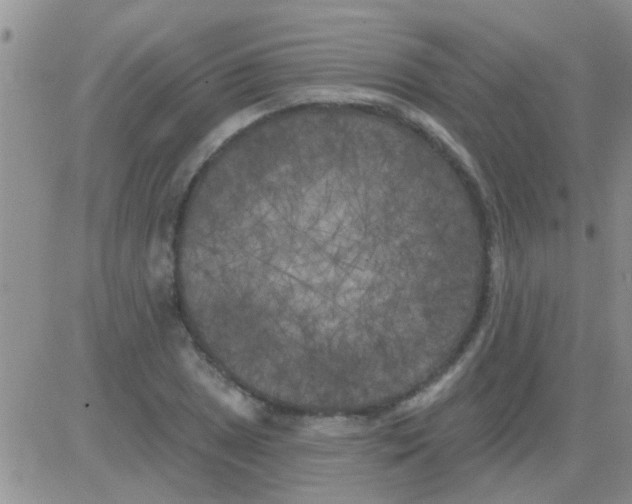 X0000082711025200702232250