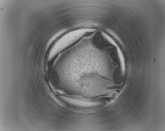 X0000082711026200702232250