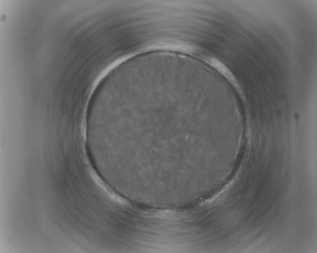 X0000082711028200702232250