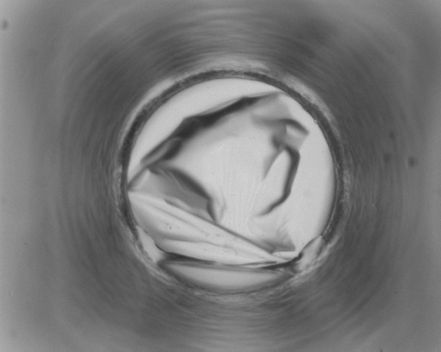 X0000082711029200702232250