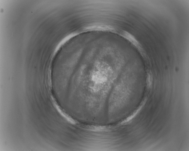 X0000082711030200702232250