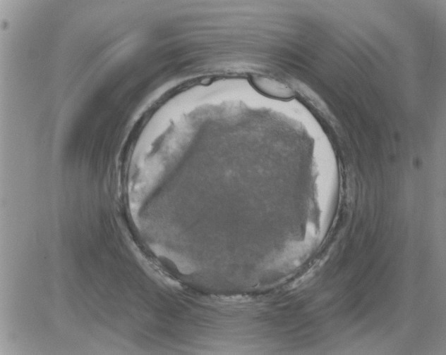 X0000082711031200702232250