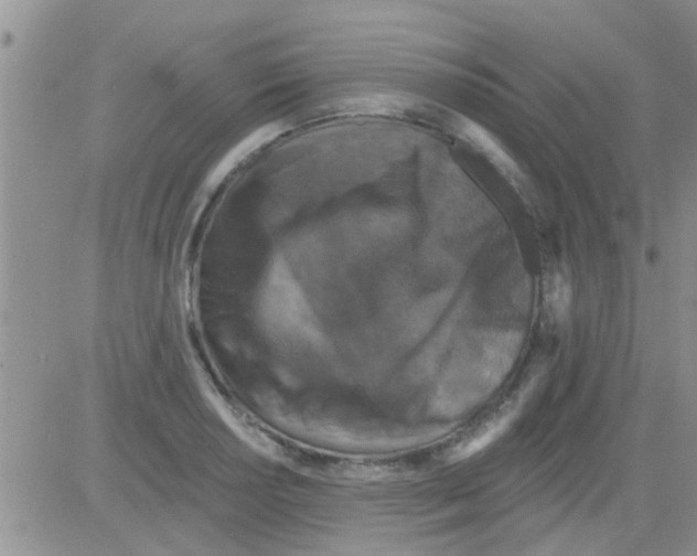 X0000082711034200702232251