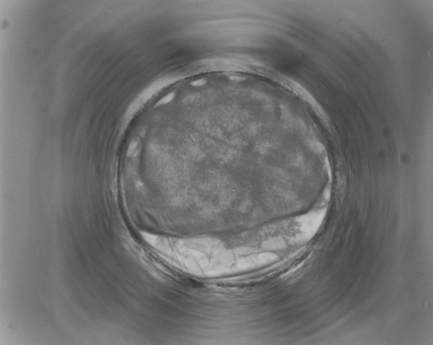 X0000082711035200702232251