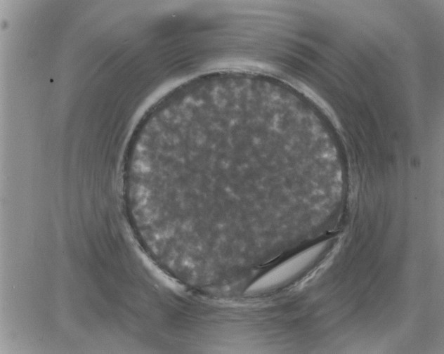 X0000082711037200702232251