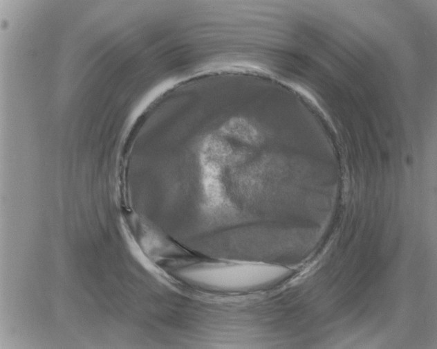 X0000082711038200702232251