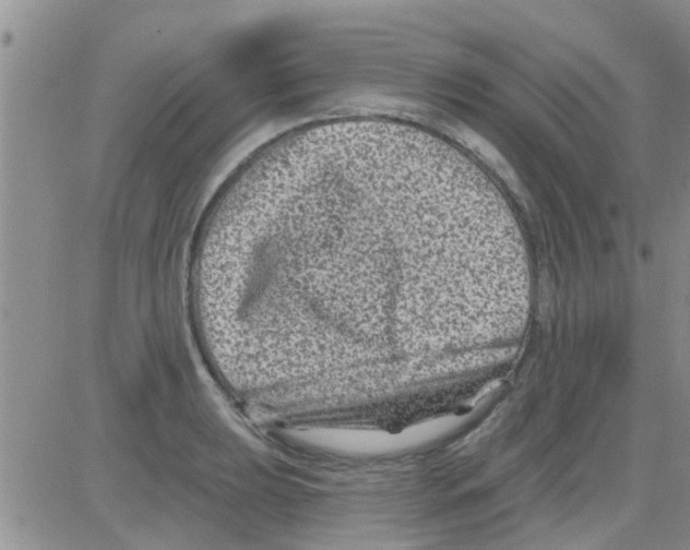 X0000082711039200702232251