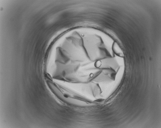 X0000082711040200702232251