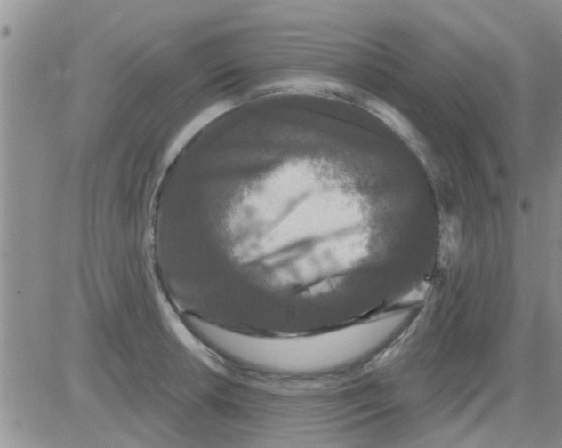 X0000082711042200702232251