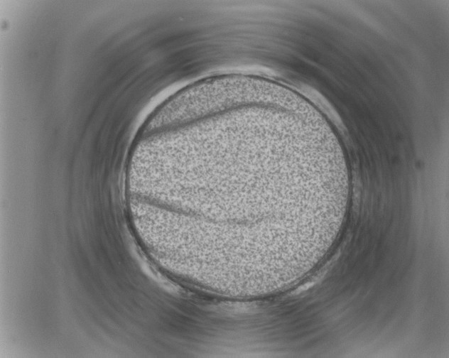 X0000082711044200702232251