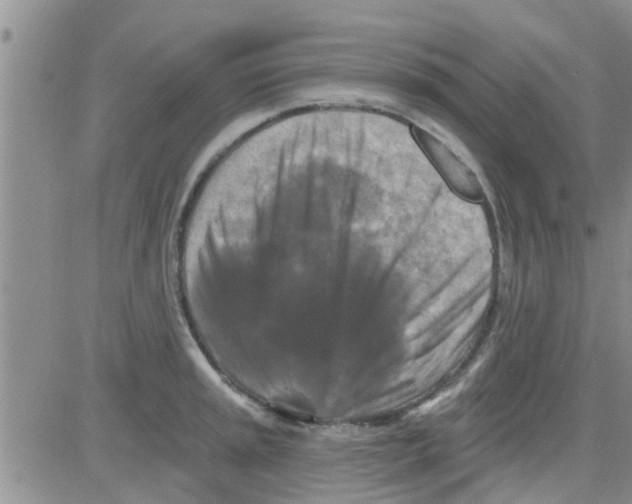 X0000082711045200702232251