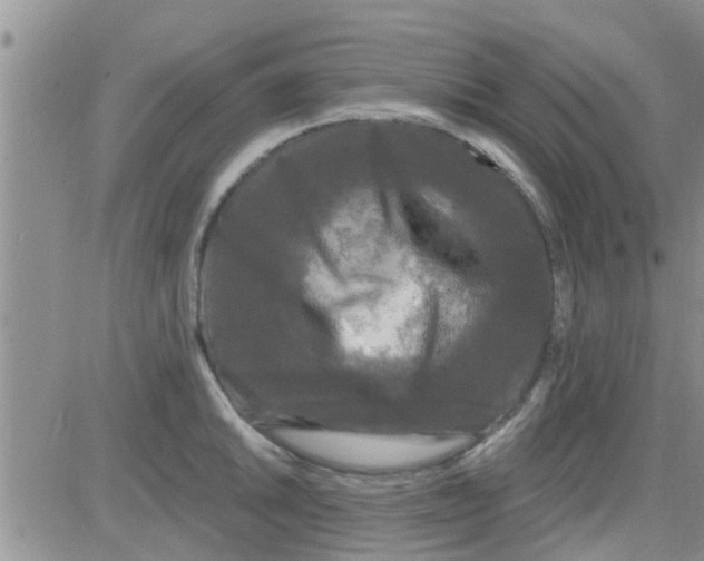 X0000082711046200702232251