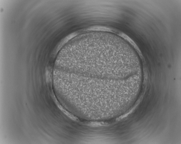 X0000082711049200702232251