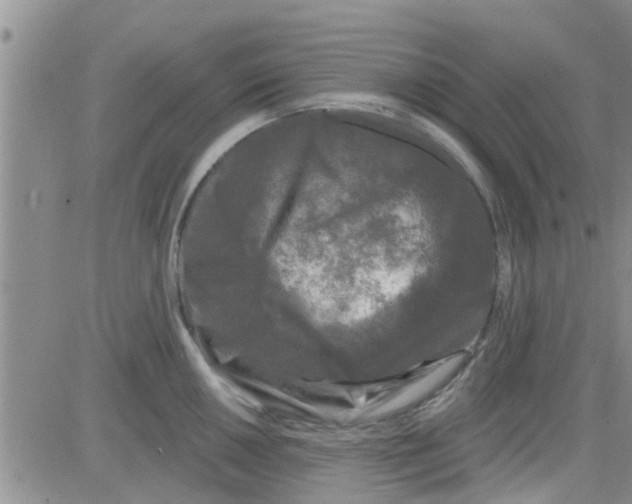 X0000082711050200702232251