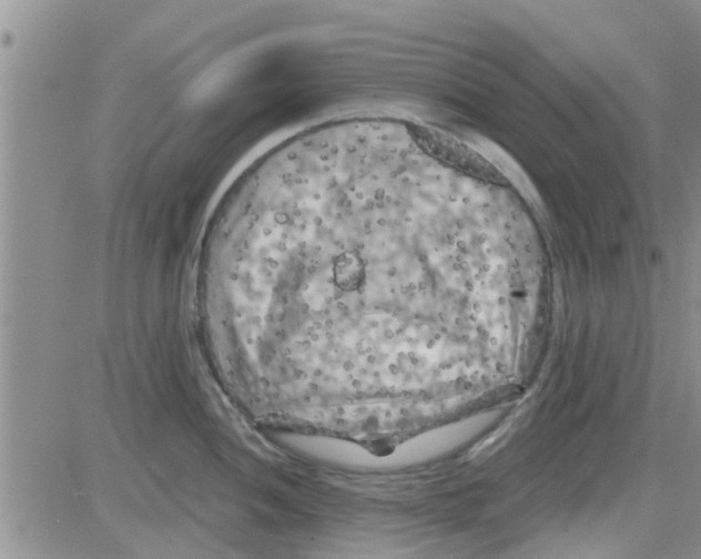 X0000082711052200702232251