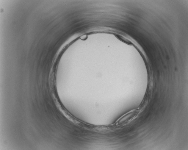 X0000082711053200702232251