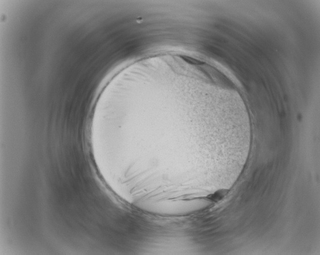 X0000082711056200702232251