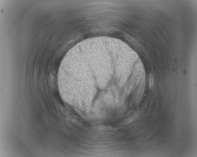 X0000082711059200702232250