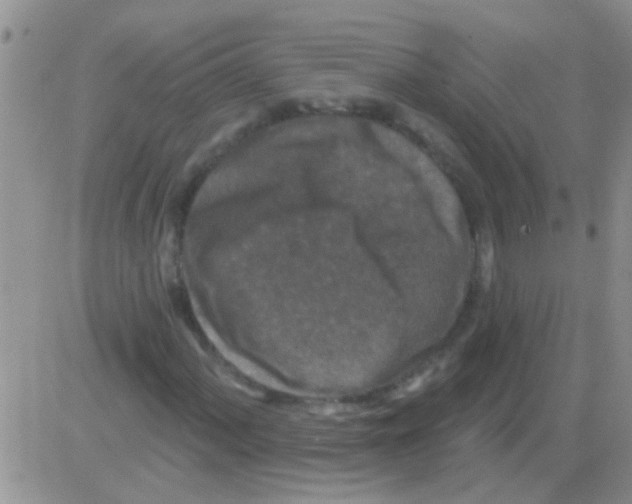 X0000082711060200702232250