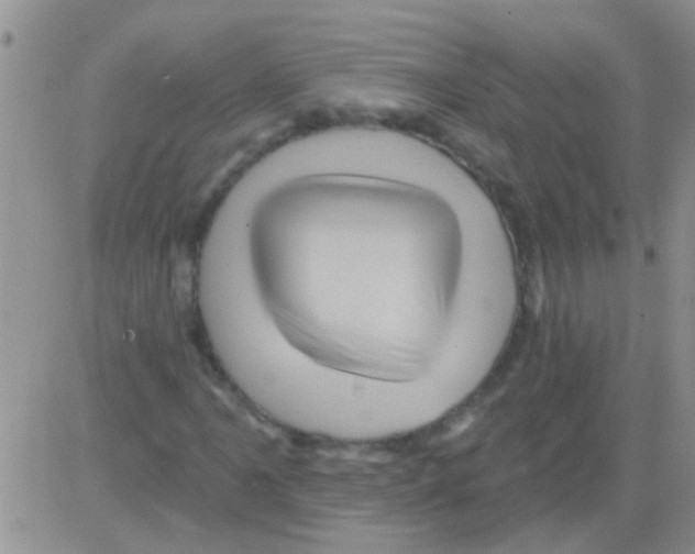 X0000082711061200702232250