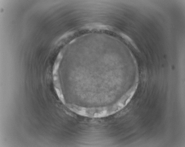 X0000082711063200702232250