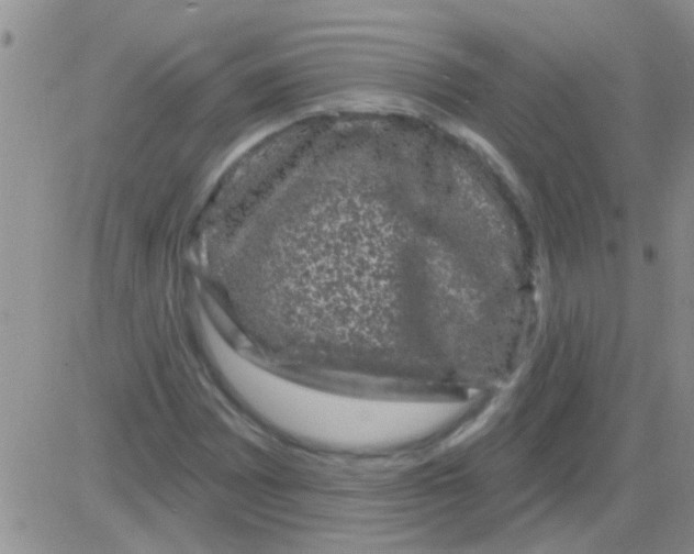 X0000082711065200702232250