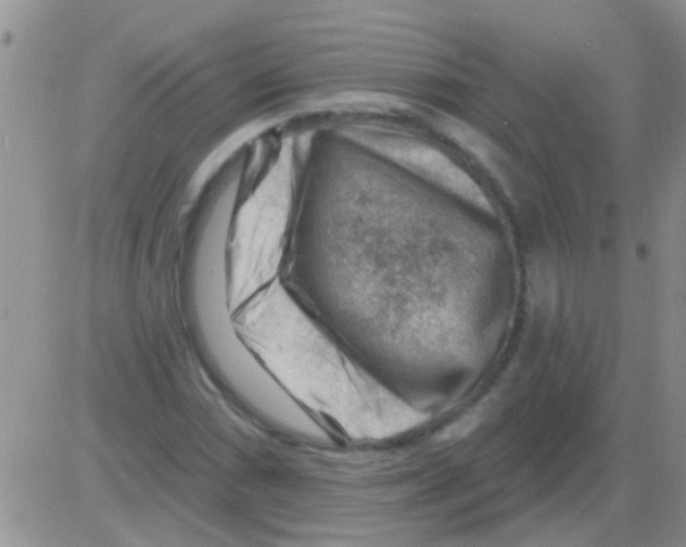 X0000082711066200702232250