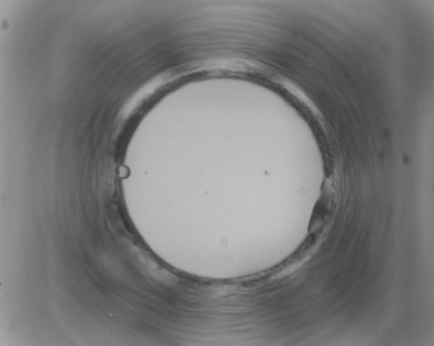 X0000082711067200702232250